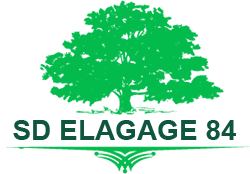 elagage-sd-elagage